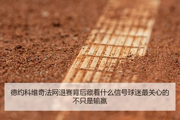 德约科维奇法网退赛背后藏着什么信号球迷最关心的不只是输赢