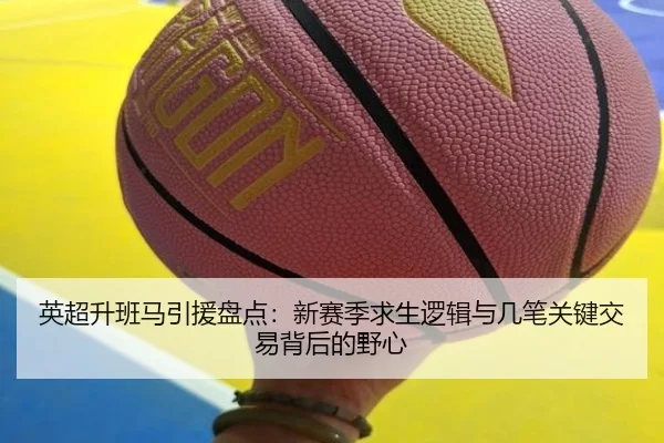 英超升班马引援盘点：新赛季求生逻辑与几笔关键交易背后的野心 | maiqiuwang